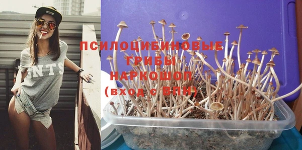 метадон Армянск