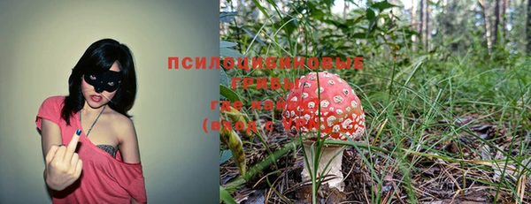 герыч Арсеньев