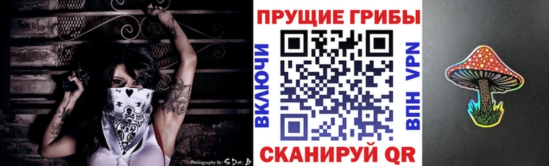 Псилоцибиновые грибы Cubensis  наркота  Мариинский Посад 
